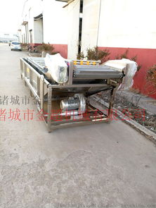 貴州魚腥草清洗機三七花鼓泡式清洗機